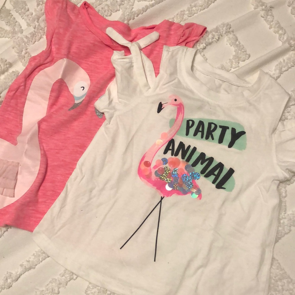 Bundle of two flamingo shirts